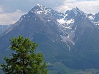 CH, Graubuenden, Scuol, Motta Naluns 2, Saxifraga-Hans Dekker